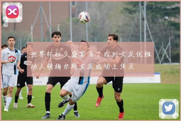 世界杯社交盛宴马丁内利女友优雅动人胡梅尔斯女友成场上焦点