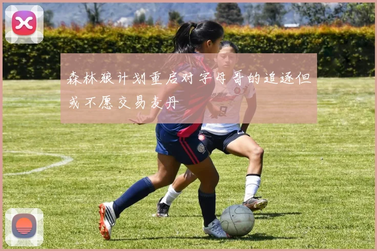 森林狼计划重启对字母哥的追逐但或不愿交易麦丹